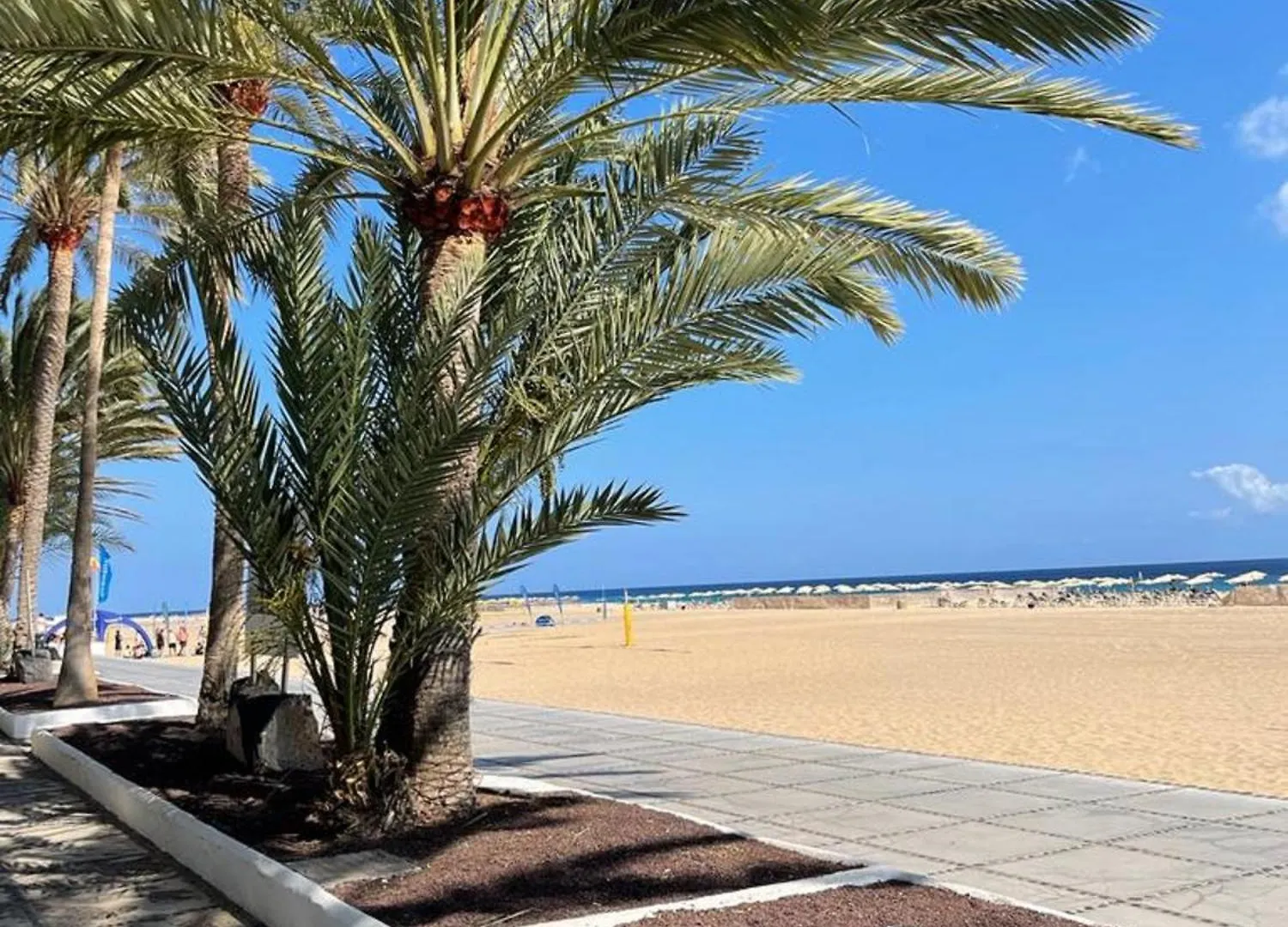 Casa Reina Lägenhet Playa Jandia
