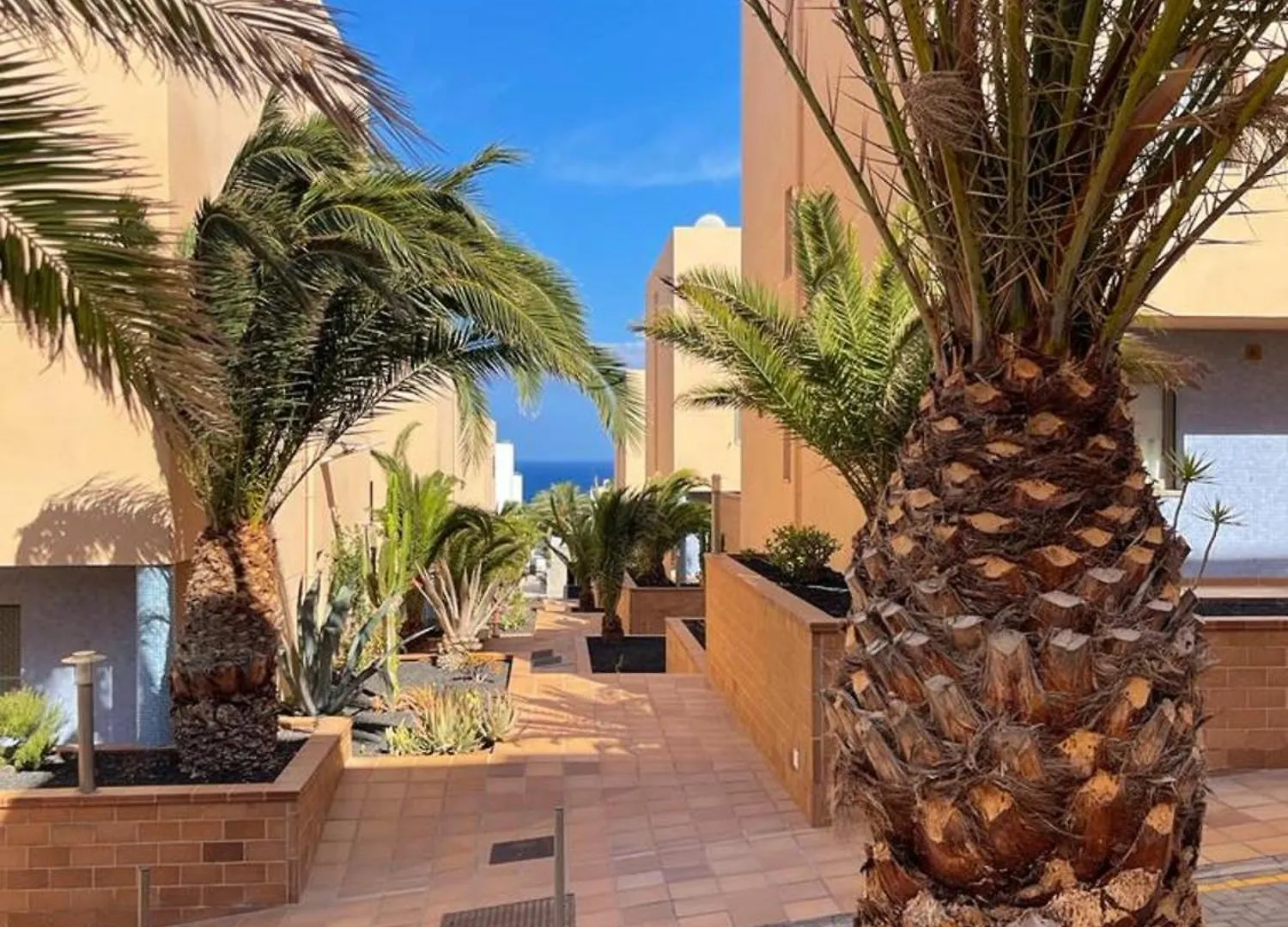 Casa Reina Lägenhet Playa Jandia Spanien
